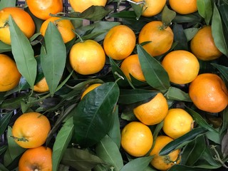 Top view of fresh tangerines with leaves.