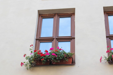 Fototapeta na wymiar window and flowerbox. window with flowers. one window