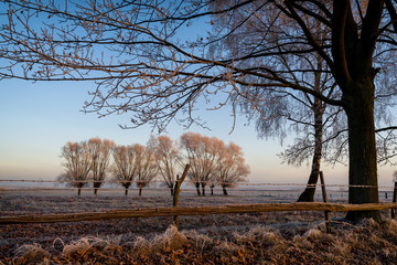 Podlasie szronem malowane-Polska