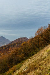 Jesienna panorama