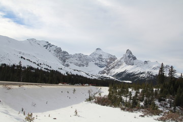 Fototapeta na wymiar Winter Comes To Parker Ridge, Banff National Park, Alberta