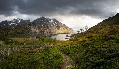 Lofoten Midnight Sunset – Norway	