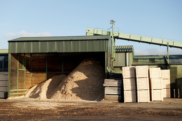 Fototapeta premium Sawmill factory wood chips hopper and machine cutter