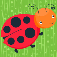 Colorful ladybug on the green background. Happy animal. . Vector illustration, cartoon baby style.