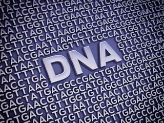 Nucleobases are the buidling blocks of DNA, Genetic code