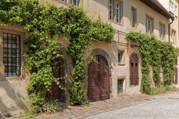 Fototapeta na wymiar Weikersheim, Germany – gate and door surrounded by vines.