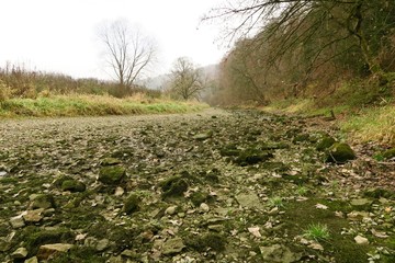 Ausgetrocknetes Flussbett der Donau bei der Donauversinkung in Immendingen (Kreis Tuttlingen)