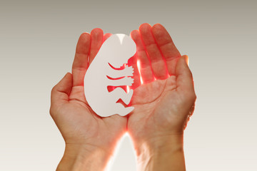 embryo silhouette in woman hand
