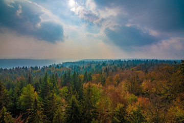 Black Forest in Germany