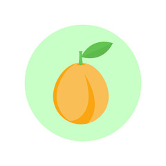Peach, apricot with green leaf. Icon in flat design. Vector illustration.