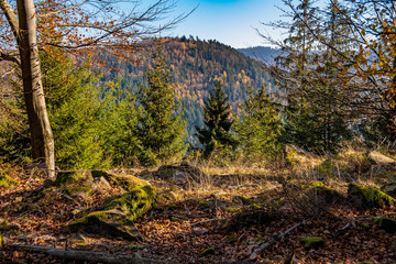 Black Forest in Germany
