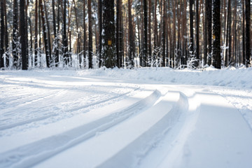 New ski track for classic skiing in the coniferous forest. Fresh ski track on a Sunny day in the forest