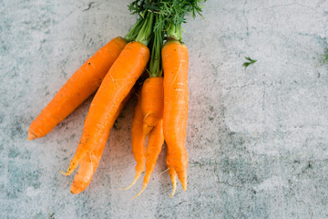 Bunch of Fresh Carrots with Green Tops