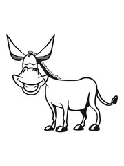 esel witzig lachen grinsen dumm tier muli lustig natur vierbeiner 1c