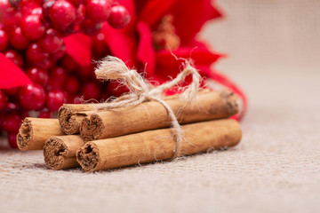 Winter Holidays decoration red poinsettia, pine and berry bush with cinnamon sticks tied with jute rope on burlap background