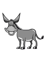 esel witzig lachen grinsen dumm tier muli lustig natur vierbeiner 0c