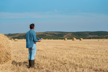 Man farmer agronomist in jeans and shirt stands back in the field after haymaking, with tablet...