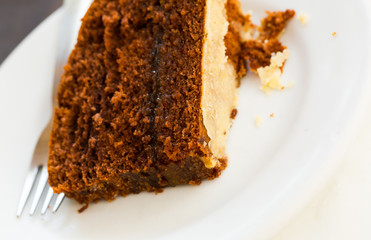 Portion of chocolate orange cake