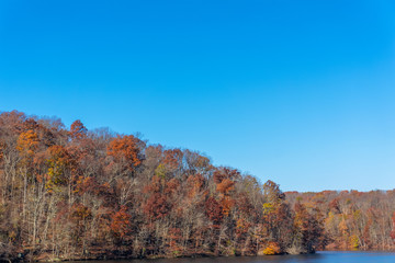 Fototapeta premium trees with autumn foliage on the lake