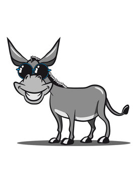 esel witzig lachen grinsen cool tier muli lustig natur sonnenbrille vierbeiner mehrfarbig