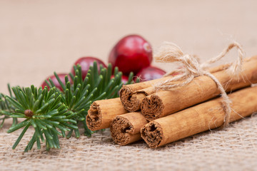 Winter holiday decoration: fraser fir twig, cinnamon sticks and cranberries on burlap background