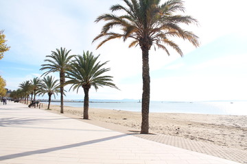 Obraz premium Beautiful city of Roses, Mediterranean town located on the Costa Brava, in Catalonia, Spain