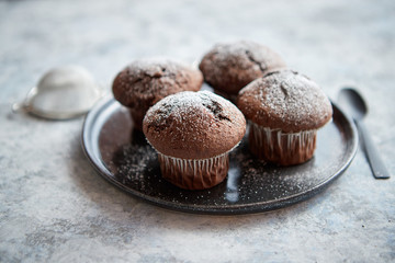 Fresh and tasty chocolate muffins served on plate. Covered with powder sugar. Placed on stone background.