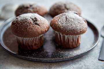 Fresh and tasty chocolate muffins served on plate. Covered with powder sugar. Placed on stone background.