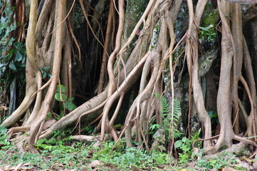 Impressionen Bali