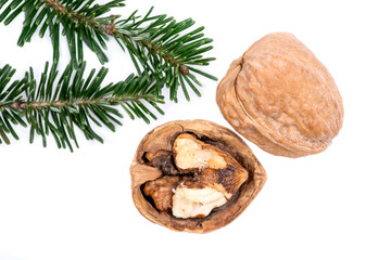 Winter holiday decoration: fraser fir twig and organic raw walnuts isolated on white background