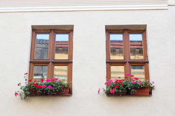Vintage windows with open wooden shutters and fresh flowers