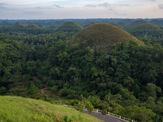 Fototapeta na wymiar Chocolate hills, geological formation in the Bohol island, Philippines. They are covered in green grass that turns brown (like chocolate) during the dry season. November, 2018