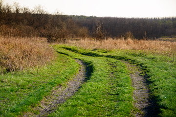 Sunset country rugged road in autumn forest