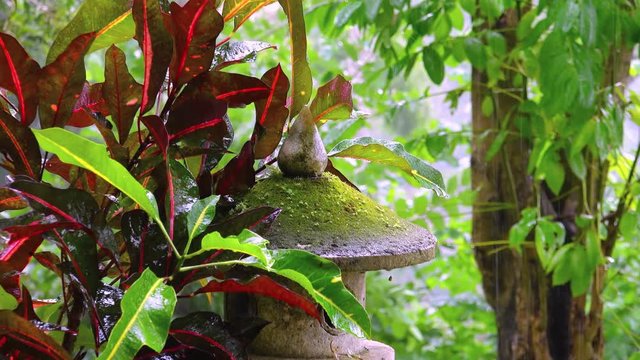 Stone lantern in wabi sabi style surrounded by fresh foliage watered by tropical rain. Mossy garden decoration standing among fantasy exotic plants in downpour. Camera zooms out. Video with sound.
