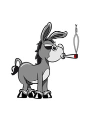 esel witzig kiffen joint sonnenbrille grautier muli witzig vierbeiner natur mehrfarbig