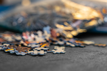 Puzzle wuzzle