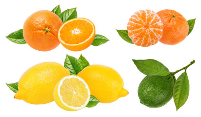 Fototapeta na wymiar Collage of fresh citrus isolated on white background with clipping path