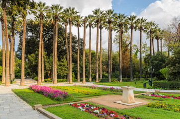 Fototapeta premium Palm trees in the Athens National Garden in the city centre. Greece