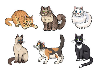 Set of cats - vector illustration