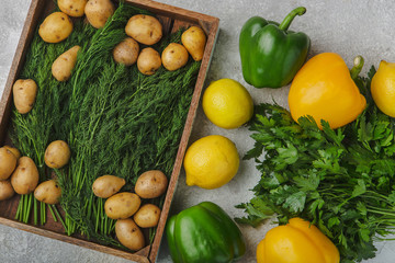 Fototapeta na wymiar set of fresh vegetables on grey background