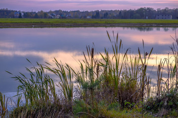 Sunset over the rural lake. Idyllic landscape of peaceful nature.