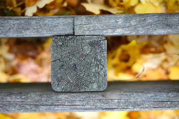 El anillo verde (la vegetación que rodea la ciudad) de Vitoria-Gasteiz en otoño. recurso gráfico basado en maderas que cierran el camino