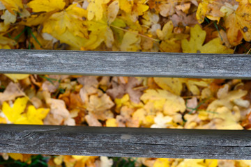 El anillo verde (la vegetación que rodea la ciudad) de Vitoria-Gasteiz en otoño. recurso gráfico basado en maderas que cierran el camino