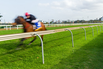 Horse Racing Speed Motion Blur