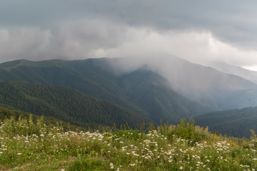 Obraz premium Beautiful mountain view with upcoming storm from the hills on the path to the Eho hut. The Troyan Balkan is exceptionally picturesque and offers a combination of wonderful mountain scenery, fresh air.