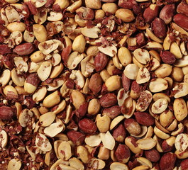 peanut background and texture