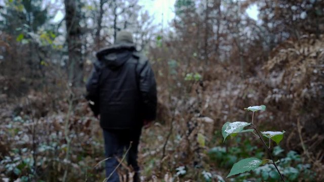 Man goes next to first snow on leaves in forest - (4K)