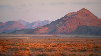 Artistic photo of Namib desert landscape with antelope Gemsbok, Oryx gazella  against rocky mountains of Namib Desert. Sunset in Namib-Naukluft desert.  Wildlife photography,   Namibia.