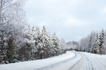 Obraz premium trees in the snow near the road in finland