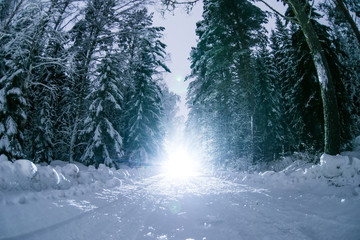 Car lights in winter forest